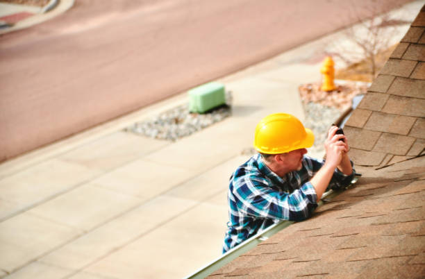 Best Roof Gutter Cleaning  in Dudley, NC